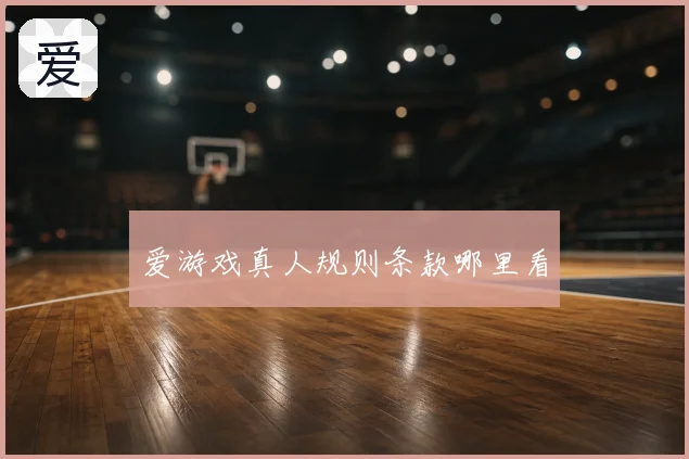 爱游戏真人规则条款哪里看